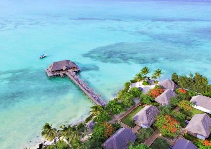 Reef And Beach