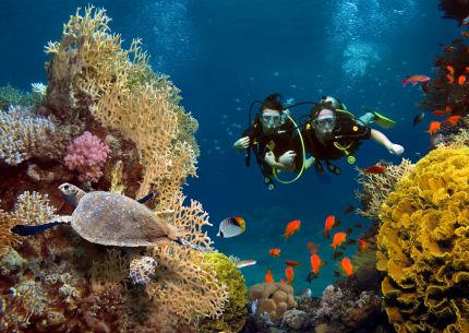 Почивка в Кайро и Шарм ел Шейх, Египет със самолет от София - кацане в Кайро и връщане от Шарм ел Шейх