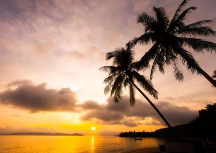 Почивка в Дидим, Турция с автобус от София- 12 нощувки